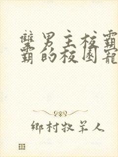 双男主校霸×学霸的校园宠文