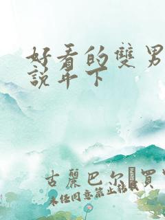 好看的双男主小说年下