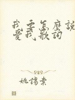 我要怎么说你才爱我歌词