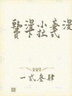 韩漫小妾漫画免费下拉式