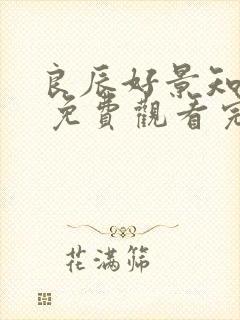 良辰好景知几何 免费观看完整版