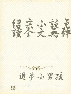 绍宋小说免费阅读全文无弹窗