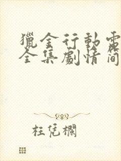 猎金行动电视剧全集剧情简介