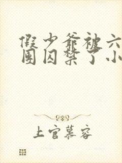 假少爷被六个哥团囚禁了小说免费阅读