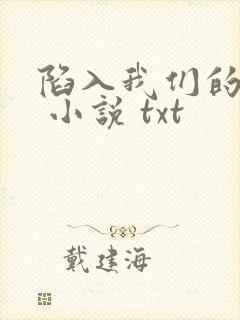 陷入我们的热恋 小说 txt