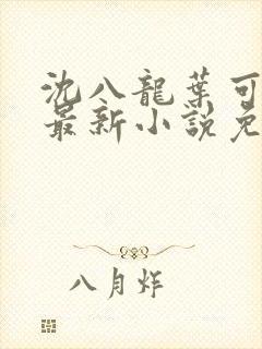 沈八龙叶可怡的最新小说免费阅读