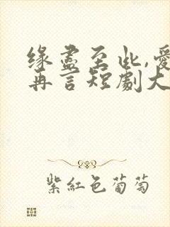 缘尽至此,爱不再言短剧大结局