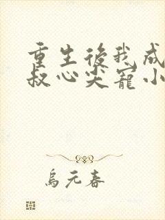 重生后我成了皇叔心尖宠小说