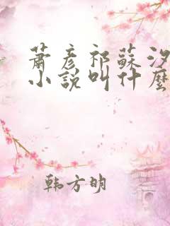 萧彦祁苏汐月的小说叫什么名字