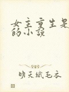 女主重生是学霸的小说