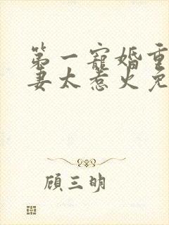 第一宠婚重生娇妻太惹火免费