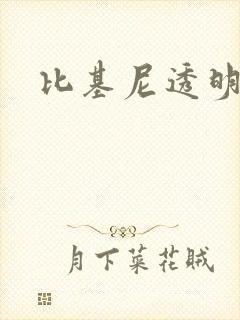 比基尼透明泳装