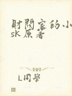 财阀家的小儿子sk原著