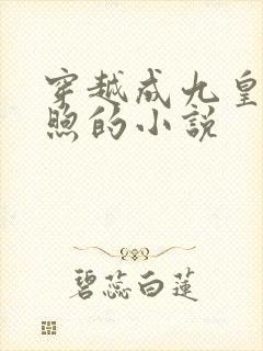 穿越成九皇子赵煦的小说