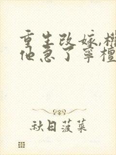 重生改嫁,权臣他急了宁檀宗俭小说