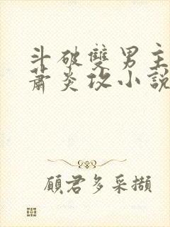 斗破双男主主角萧炎攻小说