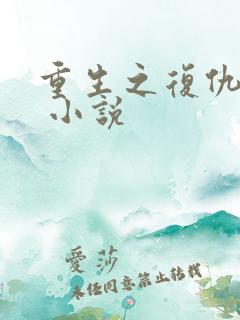 重生之复仇女王 小说