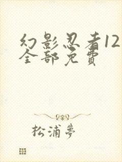 幻影忍者12季全部免费