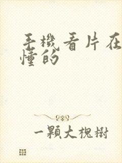 手机看片在线你懂的