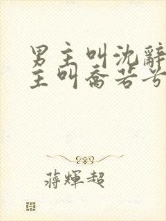 男主叫沈辞安女主叫乔若兮的小说