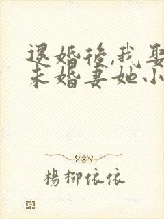 退婚后,我娶了未婚妻她小姨