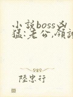 小说boss凶猛:老公,领证吧在线看