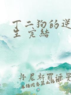 丁二狗的逆袭人生 完结