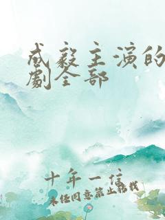 成毅主演的电视剧全部