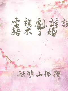 电视剧,谁说我结不了婚