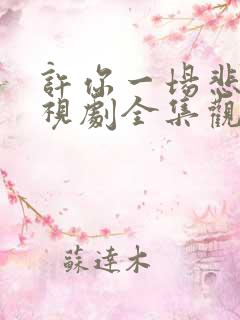 许你一场悲欢电视剧全集观看