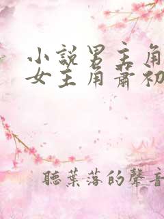 小说男主角叶辰女主角萧初然