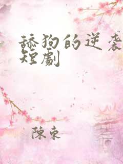 舔狗的逆袭人生短剧