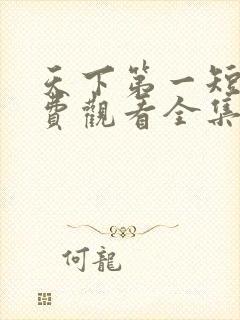 天下第一短剧免费观看全集完整版