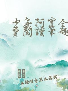 少年阿宾全文免费阅读笔趣阁