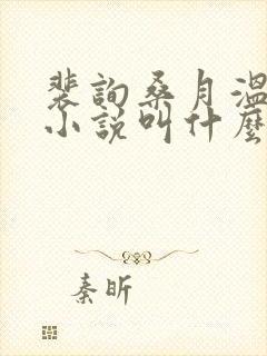 裴询桑月温时川小说叫什么名字