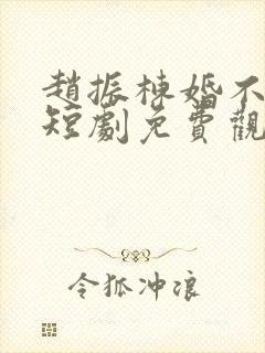 赵振栋婚不容情短剧免费观看全集高清版