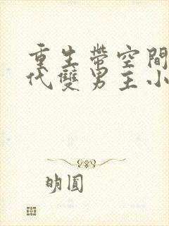 重生带空间的现代双男主小说