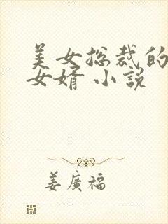 美女总裁的上门女婿 小说