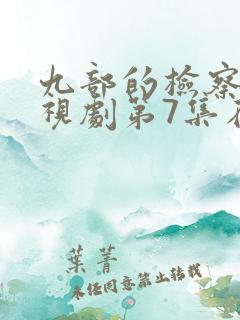 九部的检察官电视剧第7集在线观看