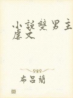 小说双男主推荐虐文