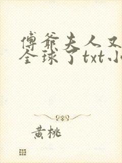 傅爷夫人又惊艳全球了txt小说