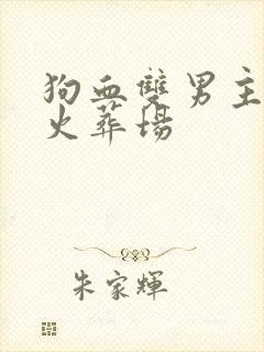 狗血双男主追妻火葬场