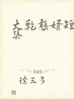 大乾憨婿短剧合集