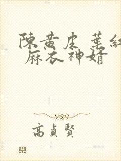 陈黄皮 叶红鱼 麻衣神婿