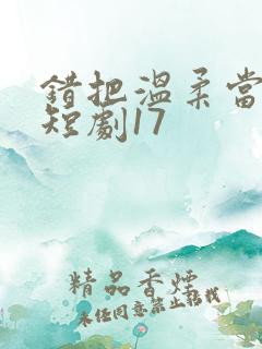 错把温柔当情深短剧17