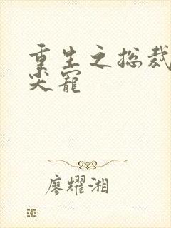 重生之总裁的心尖宠