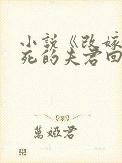 小说《改嫁时战死的夫君回来了》