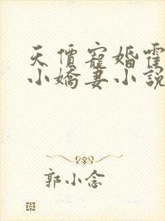 天价宠婚霍总的小娇妻小说全文免费阅读