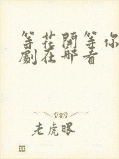 等花开等你归短剧在哪看