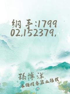 纲手:179902,152379,
